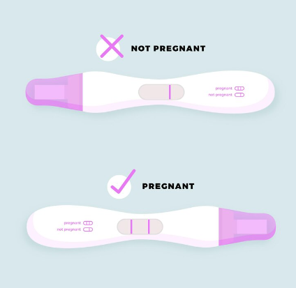How Does a Dye Stealer Pregnancy Test Work?