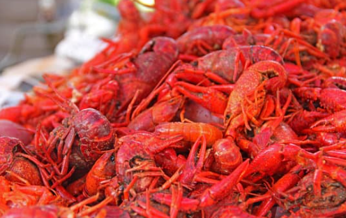 What Are Crawfish?