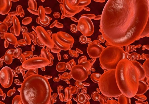 What is Hemoglobin?