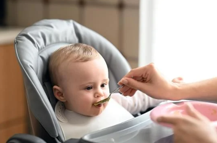 General Concerns with Processed Baby Food