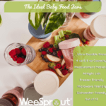 WeeSprout Glass Baby Food Storage Jars Review