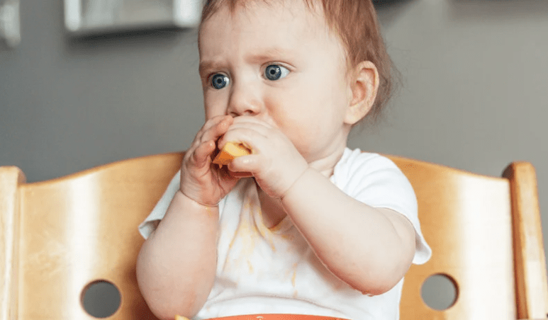 Are Baby Finger Foods Healthy for Adults?